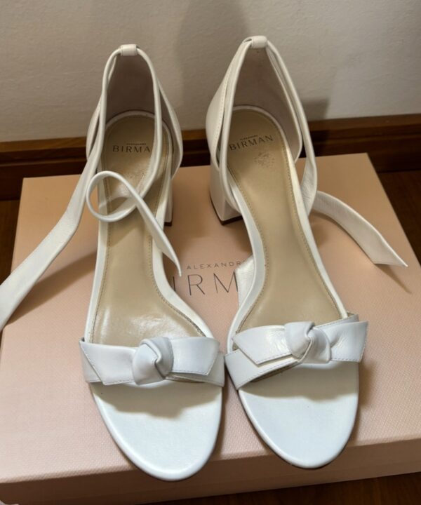 alexandre-birman-usei-uma-vez-012616