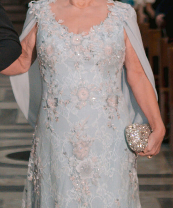 Vanessa Simonetti usado