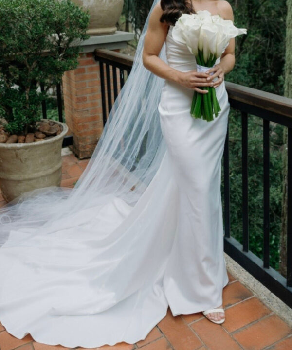 David's Bridal usado