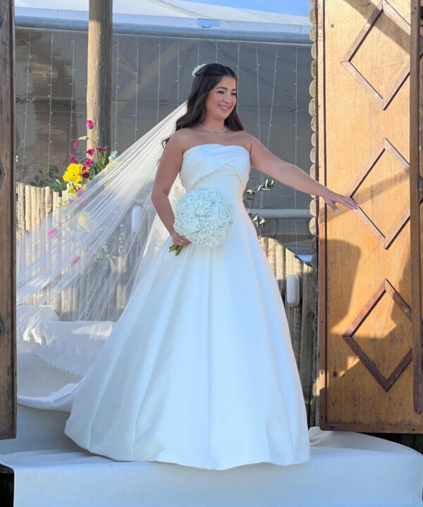 Pronovias usado