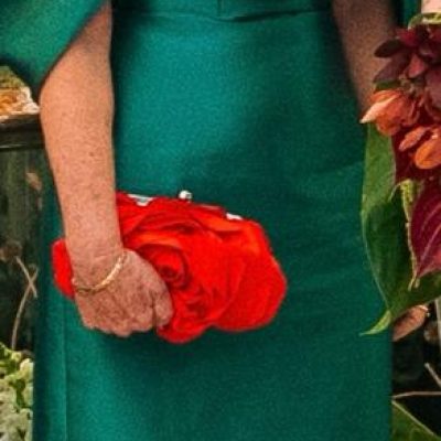 vestido-de-festa-usei-uma-vez-2352926 (2)