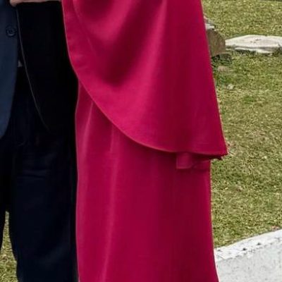vestido-de-festa-usei-uma-vez-2353014 (1)