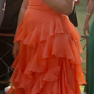 vestido-de-festa-usei-uma-vez-2353347 (3)