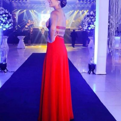 vestido-de-festa-usei-uma-vez-2353396 (0)