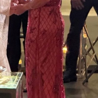 vestido-de-festa-usei-uma-vez-2353586 (3)