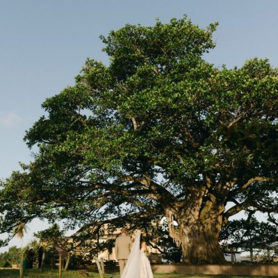 vivaz-usei-uma-vez-903333 (2)